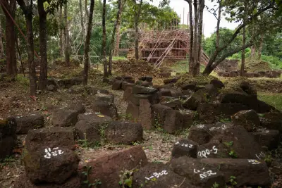 The U.S. was a leader in cultural heritage investigations. Now those agents are working immigration enforcement.