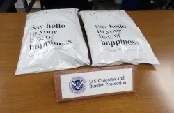 Customs officials in Philly seize $1.8 million worth of ketamine shipped from Europe